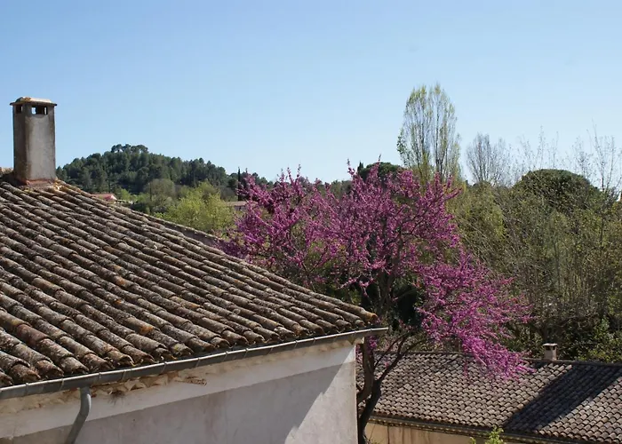 Mas アパート アニアーヌ